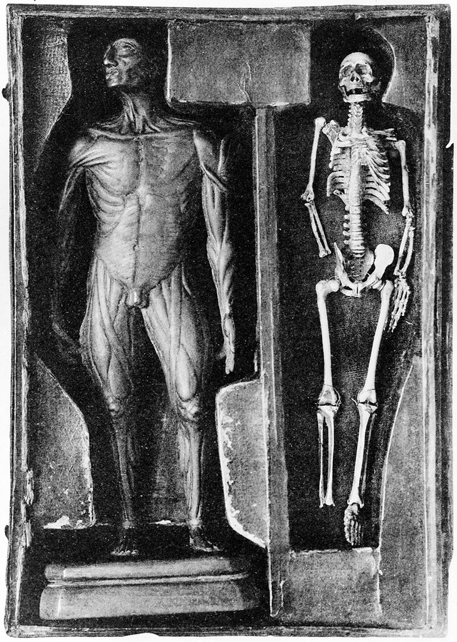 No text description is available for this image