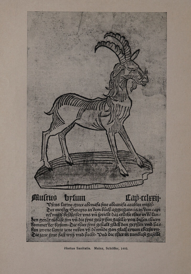 ee > o he EK, > 2. Pz. ors % Es les s . a a : : ee: yi att | oe TTT Hortus Sanitatis. Mainz, Schoffer, 1485.