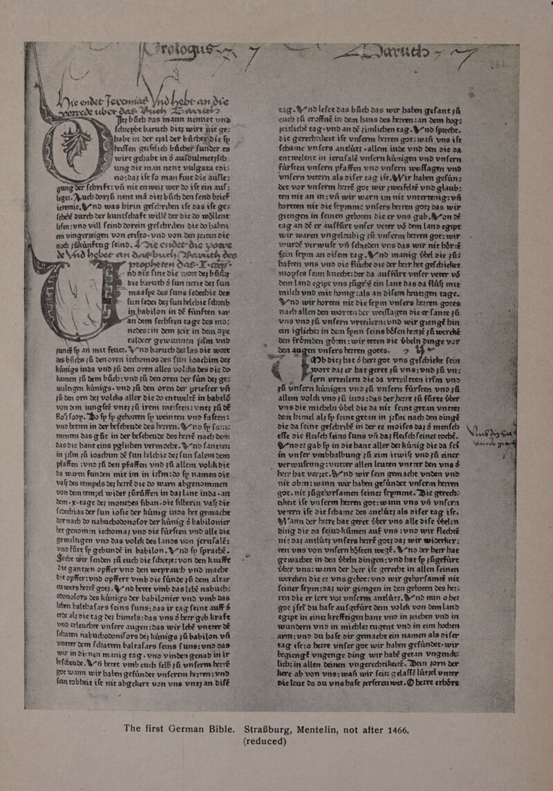 e , < Vr tan de vist Px bach cas mann nennet wnd pa habe in der gal der biicher dic fp A Shallen geifttich biicher funder es Fy. / wire gebabe in d aufoulmer;fcr: EY ung die man nent vulgata cot: ~ e~ ~ 10:da3 tfe fo man Fine die aufle: gung ol fchrife: vii nie enweiz wer do aft ein auf: leger. Arch Dorzh nent ma dit; biich den fend brief jeremic, 97nd was birin gefchriben ufe oas tf ges febelé Durch der hunefchafe willé der die do willenr lefen:vno vill feinddorein gefchriben die d0 babes en vingerzeigen von erifto-vnd von den zerter die noch sohunfeas feind. J-We ensdke die woavre ven Dat T-cays + nd dis fine die wort de; bh 7 by die baructh 5 fun nerie de3 fun og maafpe dee funs fedechie des Be fun feder de; fun belchie fdreb ‘eA -in.babilon in d¢ fiinften tar pan dem fechften tage des mo: nedes: itt dem ett in dem Ape nies caldecr gewininien fein vind - june fp art mut fener. “nod baruch de7 las die wort a hinigs inda vnd zi den oven alles voldis des die to kamen 341 dem biiels: vind zit Den ovens der flan do; gez walagen kinigs. vnd zi den oren der priefter vit pik den orn de3 Volks aller die d0 entwelté in babelé von xm iungfeé vnie; 38 trem merfeen: ones 31 DE flo§ foop. Do fp fp gehorten fp weinten vno Fafter: vno beeten in der befchende des hezren. Qn fp fanz menten das g fie in der befcheuse des kené nach dem das dite hance eins pglichen vermoche. Qne fancten in j2tm 3it toachum dé fun helchie de3 fun falem dem pfaffen :vno zi den pfaffen vnd 3fi allem vold die da waren Funden mit tm in izfm:do fp namen oie. val Xs tempels dey herve D1¢ do warn abgenommen von dem cemypel wider shriffen in daz lant inda-ait - kim + x-tage de3 monedes fiban ote filberin val dte fedechias der fun iofie der hung inoa hee gemache dornach do nabuchodonofor der hing 5 babilonier het genomen iechoma; vno die firfren vd alle die gewaltigen vnd das volck des Lands von jerufalé: vno Fare fp gebundé in babilon. ¥nd fp fpraché. Secre wir fenden zit euch die fcbcrjze: von den hauffe . die gantzen opffcr vnd den weprauh pnd mache die opfer:ynd opffert vmb die finde zit dem alear cuwers herve gory. nd beree vinb das lebé nabuchz Konofors des kinnigs der babilonier vnd vmb das Icten balthafars feins funs:aas ir tag feint aus erde aly vie tag dez himels:das vns 3 herr geb krafe vnd erleuchre vnfere augen:das wir lebé vrneter dé fchaten nabuchodonifors de; hunigs jf babilon vit vnerer dem fchatten baleafars fems funs:vnd as wir in Dicnen manig tag. vno vinden genad in tr tefchende. Hi becee vmb curcly felb 3 vr ferme herve gor wann wir haben gefiindee vnferem hezren: vnd fn tobbeit ife nic abgckert von uns vney an défé 4 SAS A EE IM ne cer oe reel tities satmaihnic ndtv an ach dha acai nmeseeeneaeiad antenna add dates altel de ee -~ The first German Bible. cag. 9nd lefee das bach das wir haben gefant 3h enc 3f eroffné in dem hans des herren:an dem bog: die gerechekeat tft vnferm hezren gor: want uns ife {chame vn fers anclitz «allem inde vnd den ote 2a enrwelenc in terufalé vnfern kanigen vnd vnfern Ffarften vnfern pfaffen vino vnfern weffagen pnd vnfern verern als oifer cag vit. QV ir haben gefinz det vor vnferm hezré gor wir ;weafelté vnd glaub: ten nit an mn: vi wir warn im Hit vntertenig: vit grengen in femen geboren die er vns gab.&amp;on dé tag an 0 er aufffire vnfer verter vd dem Land egipe wir waren vngelenbig 3f vnferm berren gor: wir wiardé verwufe vit fdneden vrs das wir nie bore fein fepm an otfem tag. Ond manig bel oie 347 hafeen vns vn oie Fliache ore der herr hee gefdoickee mopfes fem kneche:der da auffire vnfer verer v5 den Land egipe wns ziige'¥ cin Lane das 0a Fla mie milch vnd mie homg:als an difem heungen tage. OW nd wir horeen nit die fepm voters hezren gores nach allen den worren ter weaflagen dte er fance ph ein igliche: in dem fpnn feins béfen hemxzé 3h worché ‘ten frombden gdzen : wir reren die bbeln Dinge vor den augen vnfers heren gotes. 2 2a wort da; et hae geret 3 vns:vnd 34 vn: _, ¥ fern vreeiern die da vrecileten trim pnd 34 vnfern hunigen voz unfern farfeen vno 3% allem volck uno zi i2t03 :das der hezre jit Free bher dent himel al; fp fene gecan in j2firi nach den oingée dte da feine gefchribé in der ec moifes da; 3 menfels effe vie flaleh feins funs vi da; Fleafch feinez coché. QYnoez gab fp in die bane aller der htinig die da fet in vnfer vmbbalbung ;ficeim tewiS vnd zh einer _ verwufenng: unter allen leuten vneter den vnsd herr hat verzer.Bnd wir fen gemache vnden pnd nit oben: wann wir baben geftindee vnferm herve got. nit sfigetorfamen feine: fepmme. Bic gerechz akeae if vnferm heeren gor: warn vns vit vnfcrn verern ife die fchame des aneliae; als otfer tag if. ‘arn der berre hae geret ber vnes alle dtfe Hbelcn dirig die va feud hiimen auf vns :vno wir Flechté nit daz antliaes vnfers herré gory 0a; wir widerker: tert vn von vnifern bSfeen wege. Ono ver herr hat gewacher in-den dbeln dingen: vnd hac fp sfigefare ther prs: wann cer herr ife gerecde in allen feinen wercken die cz vns gelot: VND wir gehorfameé nit ¥en die er lere voz vnferm anclat3.9nd nun o her got jfrt du hafe aufgefiire den volck von demland egipt in eine: hreffeigen bane vn in zetchen vind in wundern vid in michlez eugene vd in etm hochert _ arm:vnd du bafe oir gemache ein namen als oifer begiengé vngenge ding wir habé getan vngenckz lich: in allen deinen vngerechtikere. Dern jorn der here ab von vns: wan wir fein gelaffé litzel vnter Die lene da ou vnshafe serfercuwet.© herre erbdre B