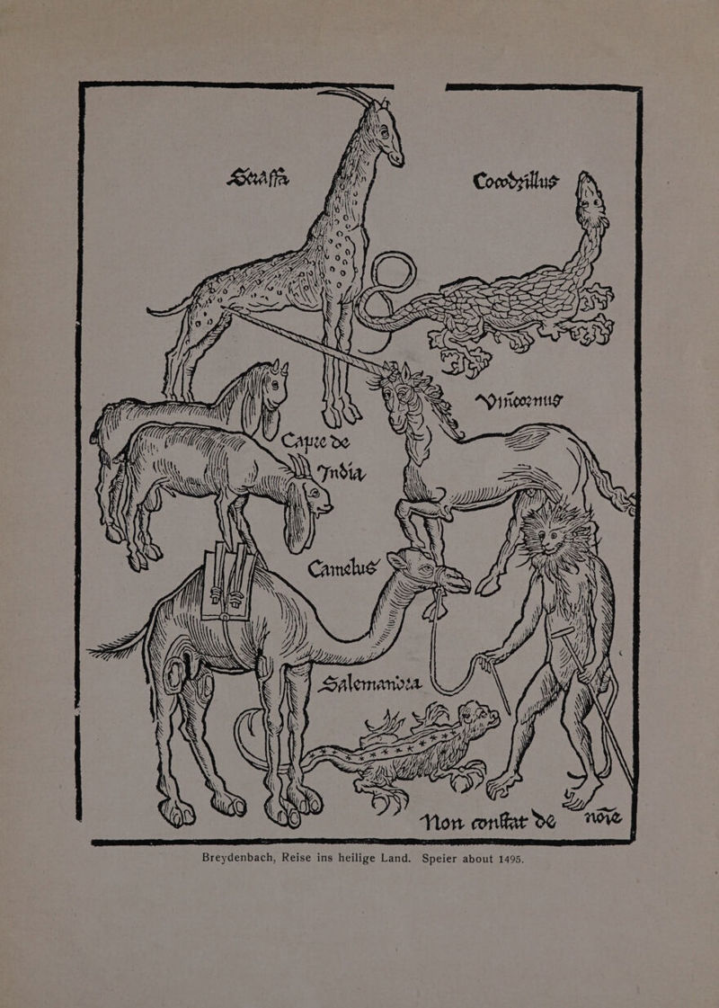 fi? “ AK MW >. ui nie Wa RA (a SZ (Gh ” A ¢ * a4 1g i \ dh NLA AN \\ . A \ ( NA Wr Ni KN XX : Bt \ did 5 ‘ a 4 ne \ Che IPO” D5, Wid } iN sea e WW , Alemanvea We u! G. Ny BP fh Now conttat De Breydenbach, Reise ins heilige Land. Speier about 1495.