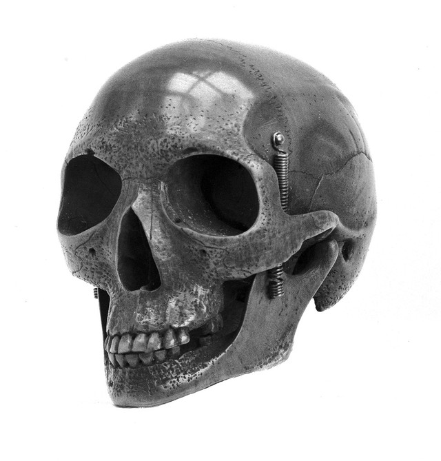 No text description is available for this image