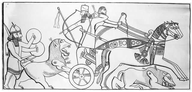 No text description is available for this image