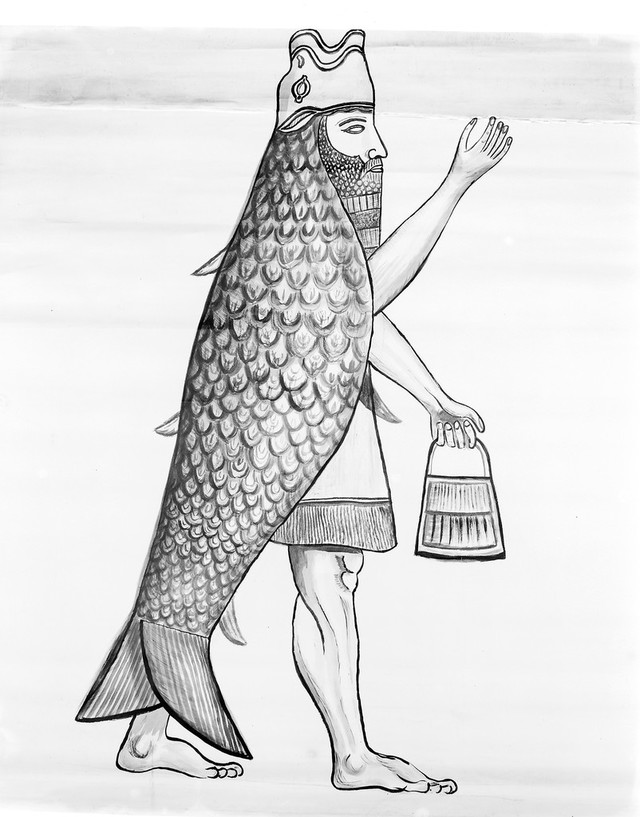 No text description is available for this image