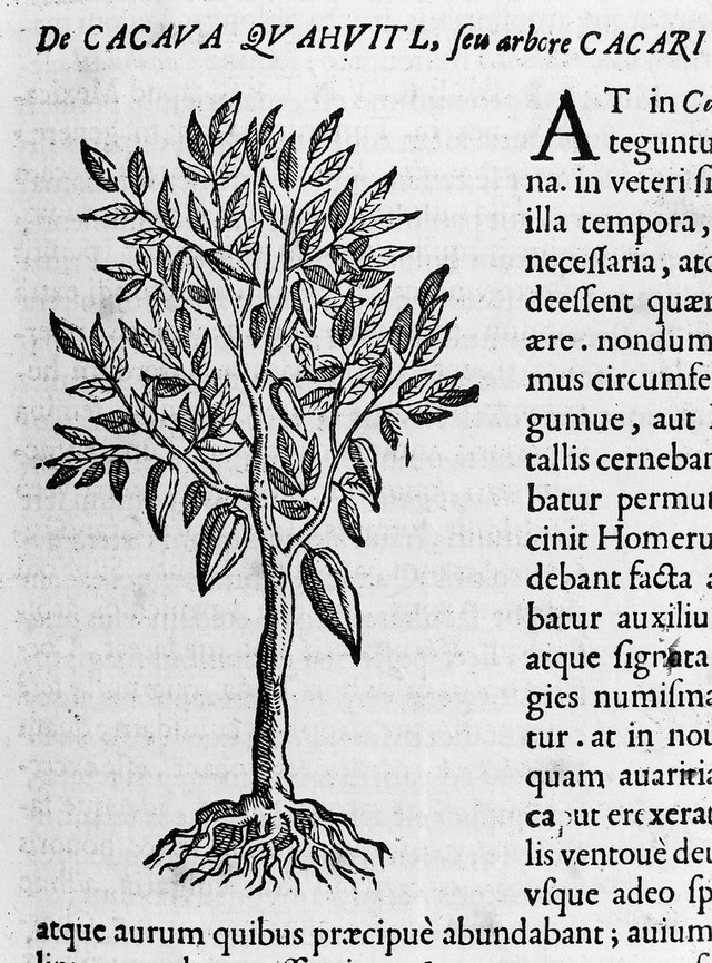 No text description is available for this image