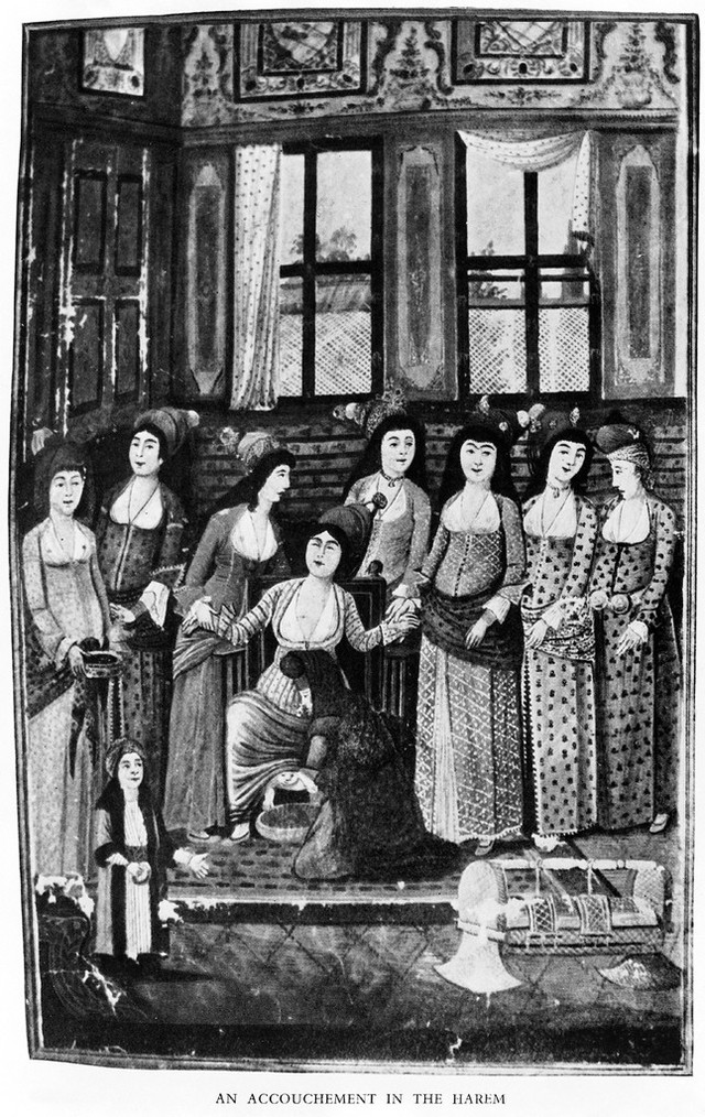 digitised image 1