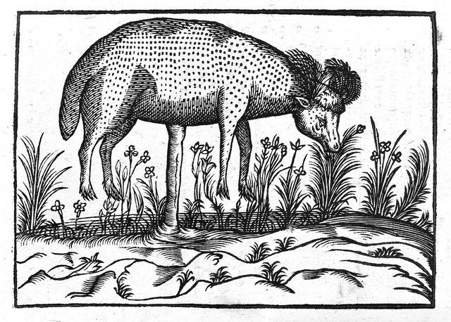 No text description is available for this image