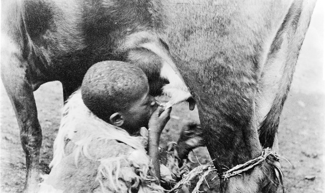 No text description is available for this image