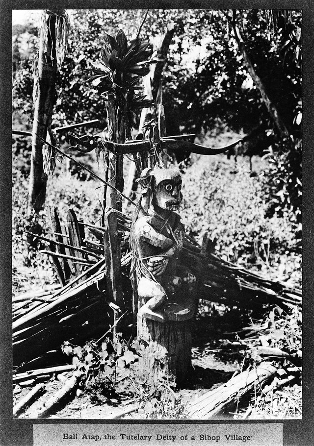 No text description is available for this image