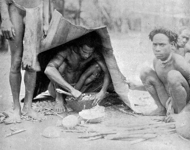 No text description is available for this image