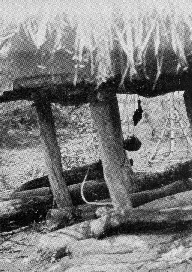 No text description is available for this image