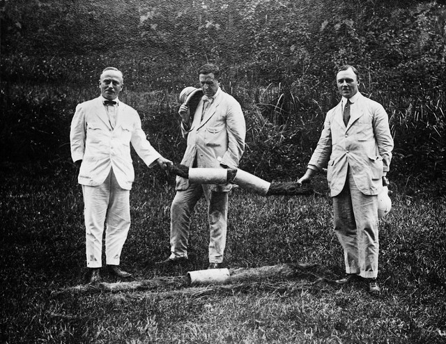 digitised image 1