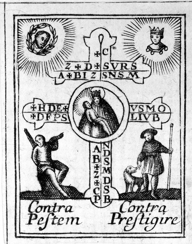 No text description is available for this image