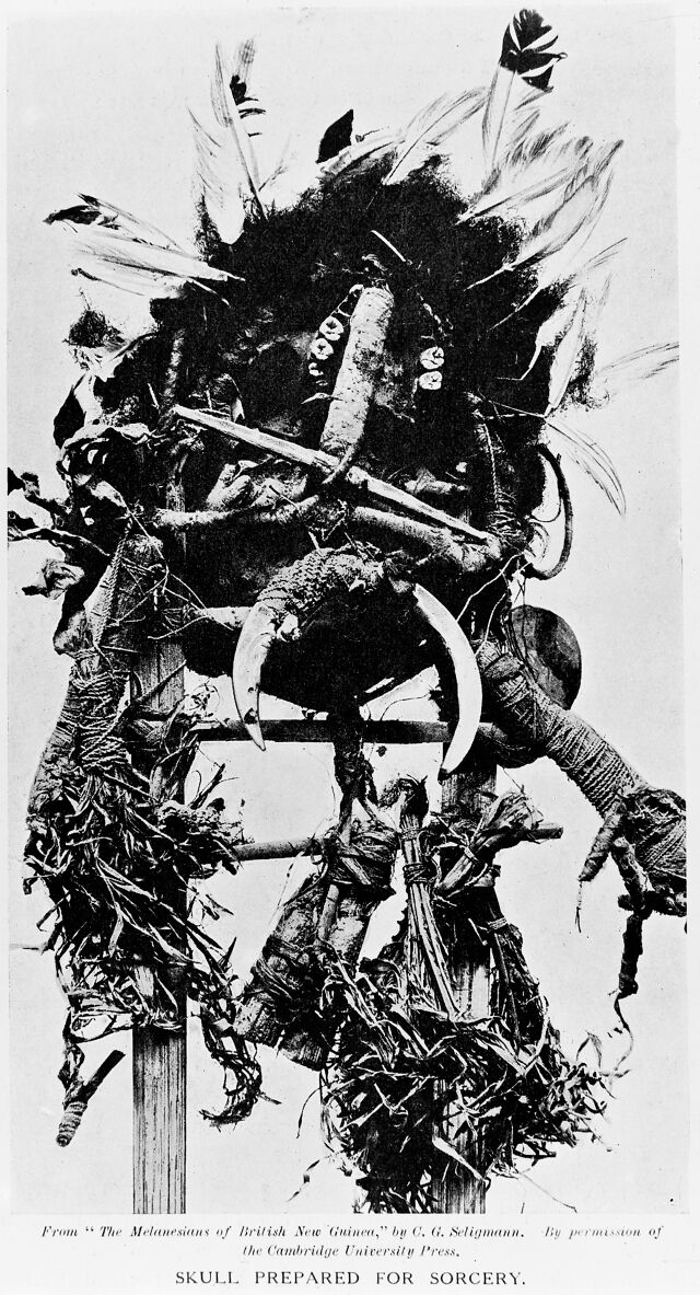 No text description is available for this image