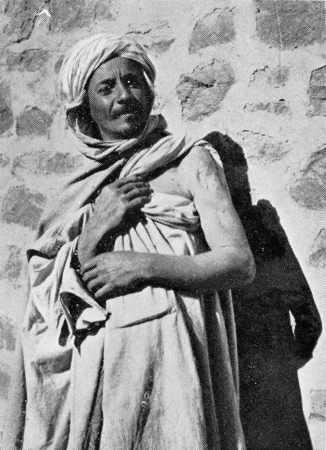 No text description is available for this image