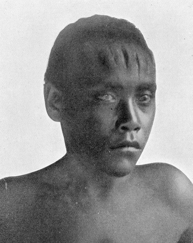 digitised image 1