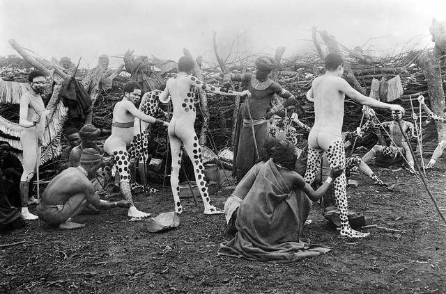 No text description is available for this image