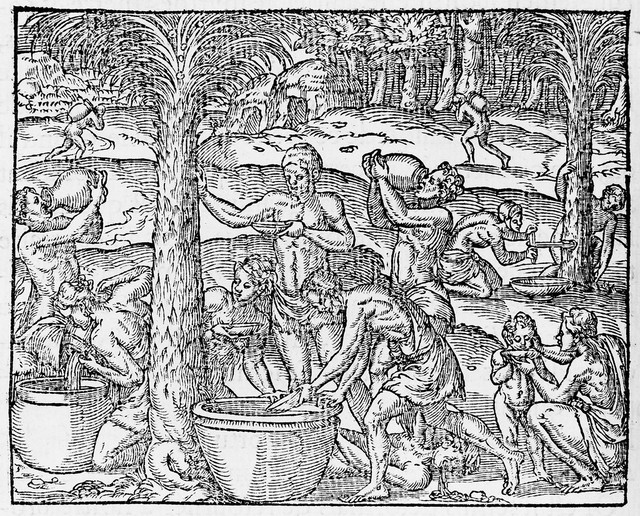 No text description is available for this image