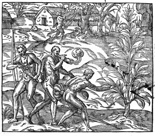 No text description is available for this image