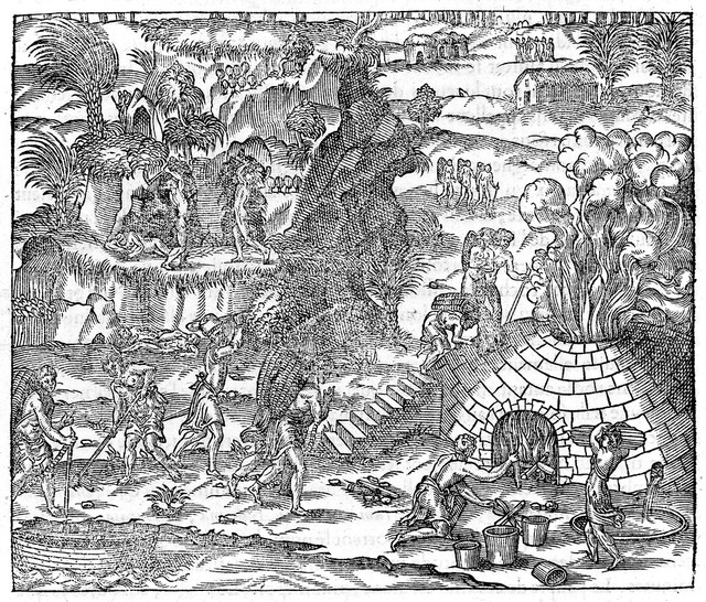 No text description is available for this image