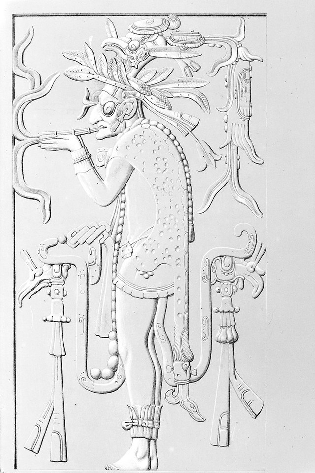 No text description is available for this image