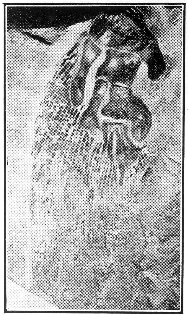 No text description is available for this image