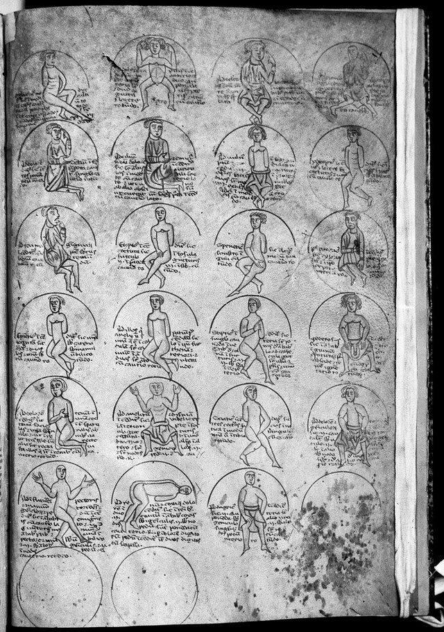 digitised image 1