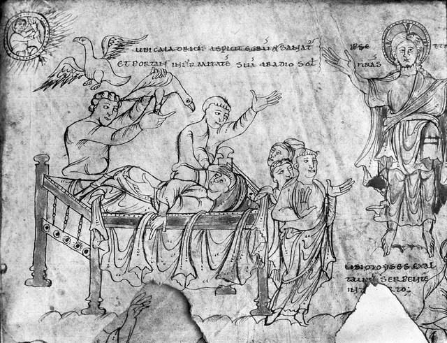 No text description is available for this image