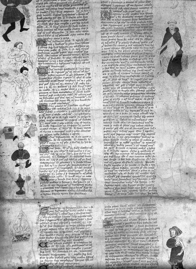 digitised image 1