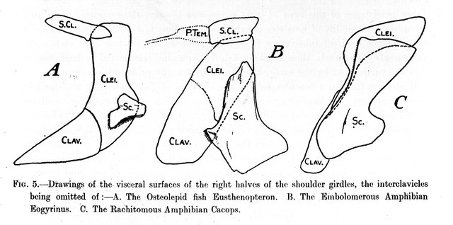 digitised image 1