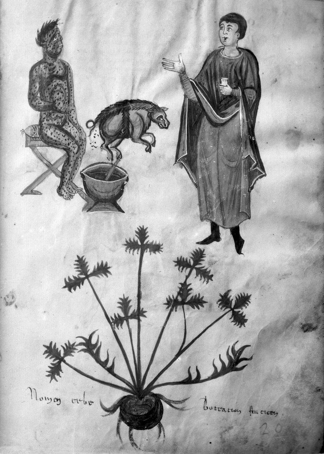 digitised image 1