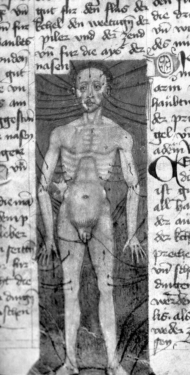 digitised image 1