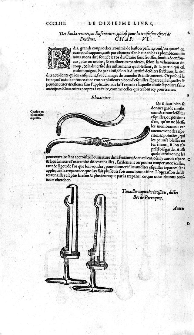 digitised image 1