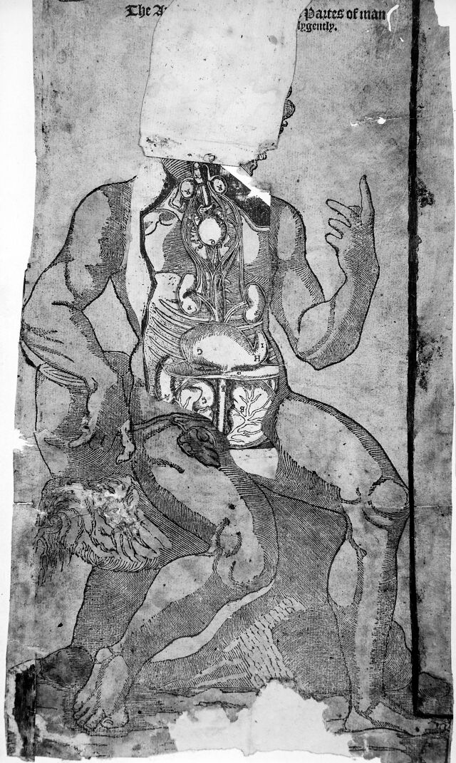 digitised image 1