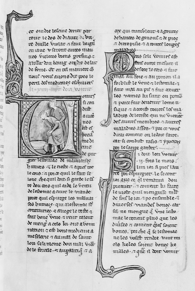digitised image 1