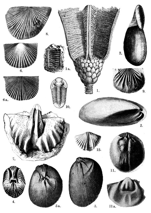 digitised image 1