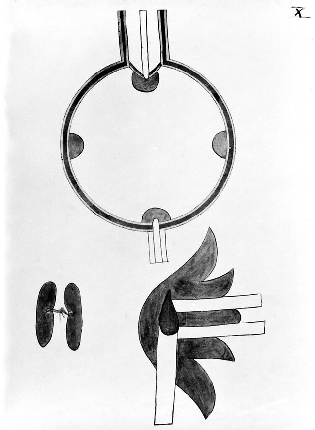 digitised image 1