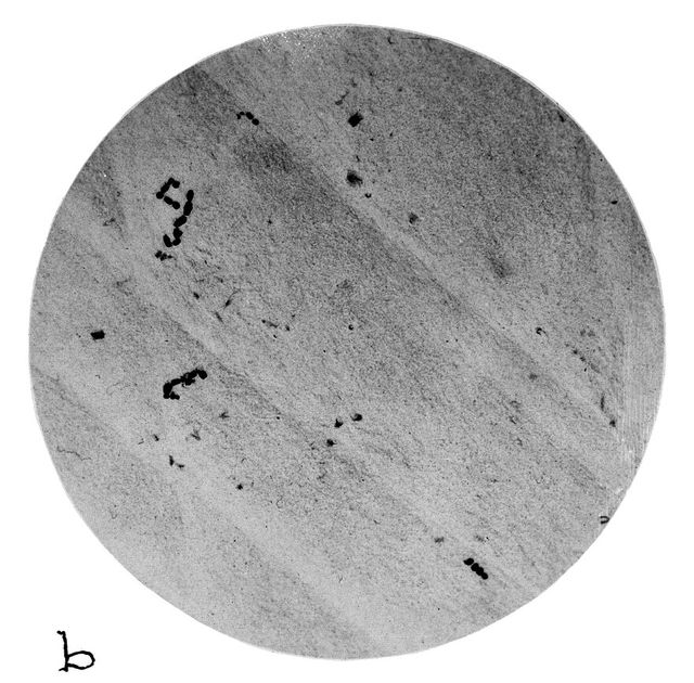 digitised image 2