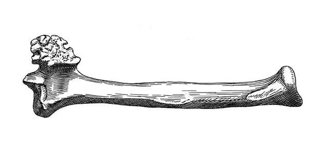 digitised image 1