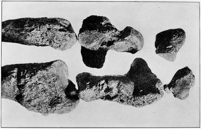 No text description is available for this image