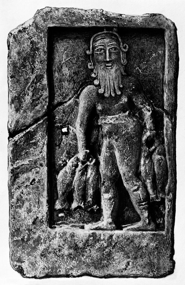 No text description is available for this image