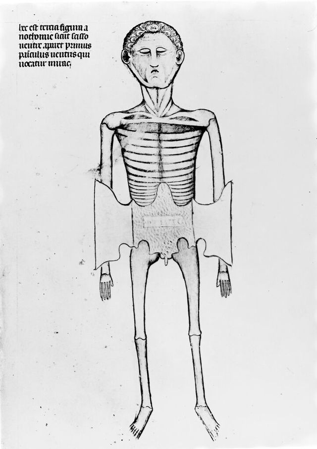 digitised image 1
