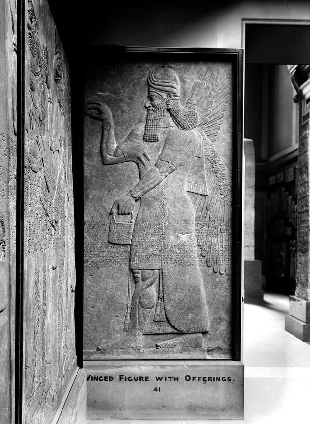 No text description is available for this image