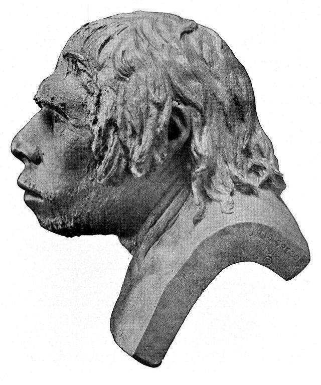 No text description is available for this image