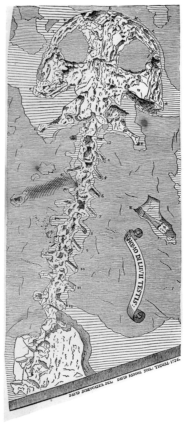 digitised image 1