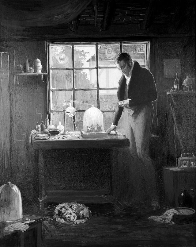 No text description is available for this image