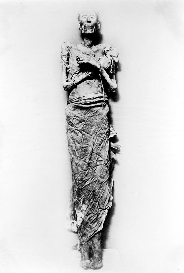 No text description is available for this image