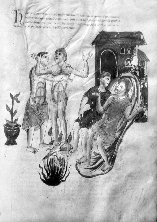 No text description is available for this image