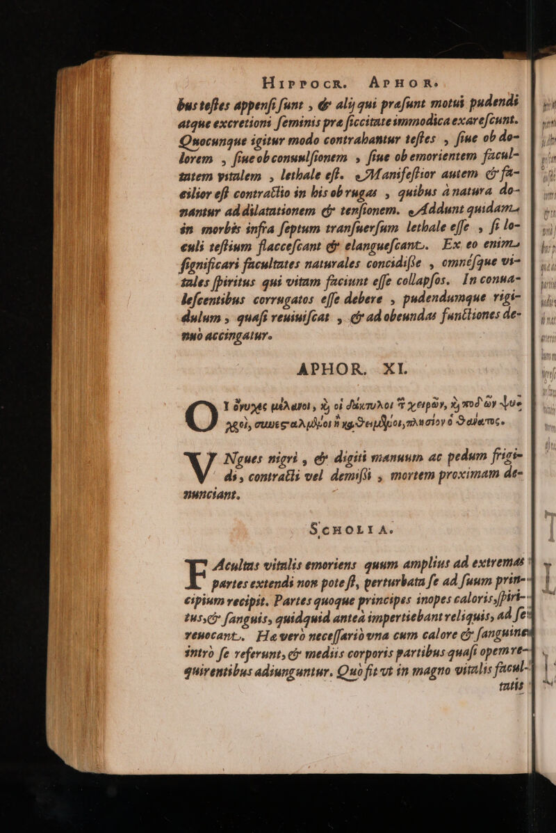 bus tefles appenfi funt , dv alij qui prafunt motui pudends atque excretioni feminis pra ficcitateimmodica exare[cunt. Quocunque igitur modo contrabantur teftes , fme ob do- lorem , [ieobconunlfionem , fiue obemorientem facul- intem yitalem , letbale eff. Mamifeflior autem. c fa- eilior eff contratlio in bisobrugas , quibus ànatura. do- nantur ad dilationem cf tenfionem. e Addunt quidam. in. morbis infra feptum tranfuerfum. lethale effe. , fi lo- culi teflium flaccefcant d elanguefcant,. Ex, eo enim. fíanificari facultates naturales concidifte , omnéfque vi- tales [piritus qui vitam faciunt effe collapfos. In conua- lefcentibus: corrngatos effe debere , pudendumque rigi- dulum » quafi veuiui[cat. , cir ad obeuudas funtliones de- 9NO ACCIDIGALWY. APHOR. XI. Ago, cube ca eo Hag e ujoor mniov 6 Saiemc. / Ngues nigri , & digiti nanusm ac pedum frisi- ' ds, contratls vel demi , mortem proximam de- yunciant. ScnhoLraA. F Acultas vitulis emoriens quum amplius ad extremas | partes extends nom pote fl, perturbata fe ad fuum prin-- cipium vecipit. Partes quoque principes inopes calori; [piri- tH5y i fanguis, quidquid antea impertiebant reliquis, 4d fe: veuocant, Flavero nece[Jari una cum calore cy [anguinew into fe veferunt, ci mediis corporis partibus quaft opevt- tatis