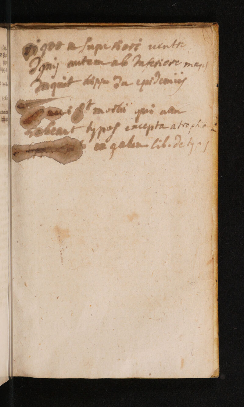 No text description is available for this image