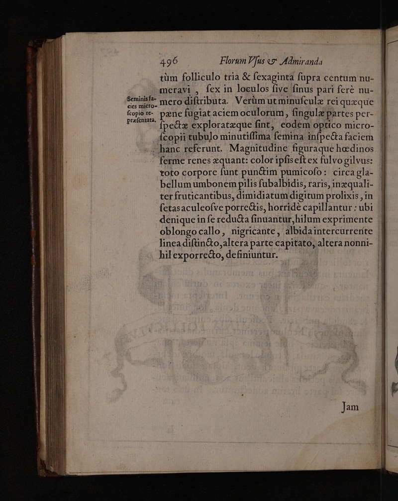 tüm folliculo tria &amp; fexaginta fupra centum nu- meravi , fex in loculos five finus pari feré nu- seminis mero diftributa. Verüm ut minufculz rei quzque topi r- pgne fugiat aciem oculorum, fingula partes per- pee (oett exploratzque fint, eodem optico micro- ícopii tubu]o minutiffima femina infpe&amp;ta faciem » , hanc referunt. Magnitudine figuraque hoedinos ferme renes zquant: color ipfiseft ex fulvo gilvus: toto corpore funt pun&amp;im pumicofo: circa gla- bellum umbonem pilis fübalbidis, raris, inzquali- terfruticantibus, dimidiatum digitum prolixis ; in fetasaculeoíve porredüs, horridé capillantur : ubi denique in fe reducta finuantur,hilum exprimente oblongocallo, nigricante, albidaintercurreríte linea diftin&amp;to,altera parte capitato, altera nonni- | hil exporredo, definiuntur. |